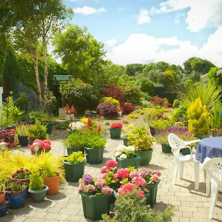 O'driscoll's Bed & Breakfast 4* Limerick