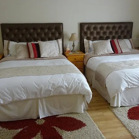 O'driscoll's Bed & Breakfast 4* Limerick