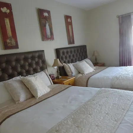 O'driscoll's Bed & Breakfast Bed & Breakfast Limerick