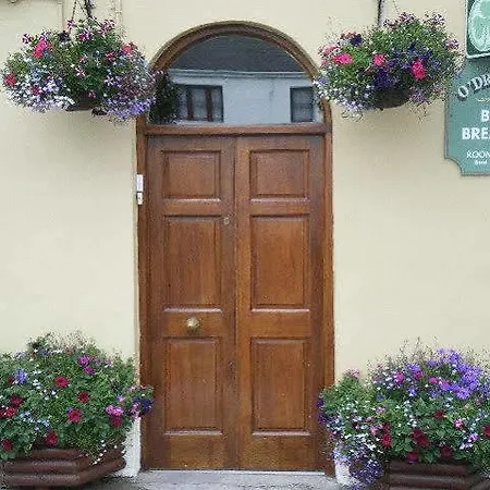 O'driscoll's Bed & Breakfast 4* Limerick